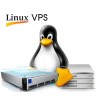 Professional Linux VPS