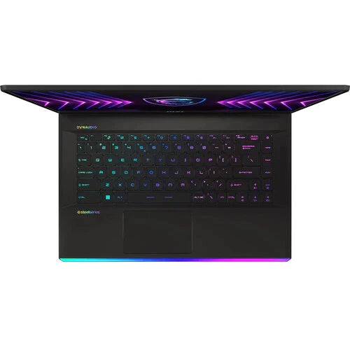 MSI 17.3" Raider GE77 HX Gaming Laptop (Dark Gray)